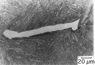 Microstructure of allotriomorphic ferrite